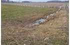 Property photo 57 - 98+/- Acres Offered in 6 Tracts or Combinations, Noble County, Indiana Farm
